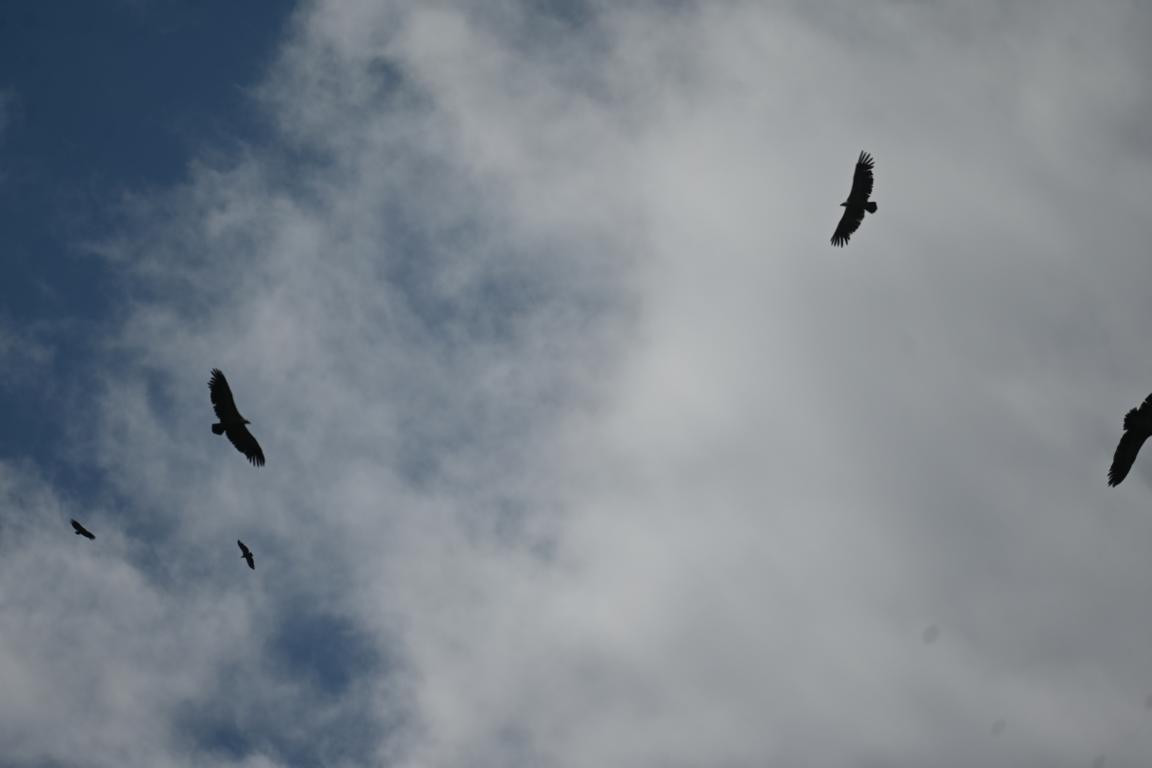 Klicke auf die Grafik für eine vergrößerte Ansicht

Name: DSC_1602.jpg
Ansichten: 135
Größe: 50,2 KB
ID: 3353622