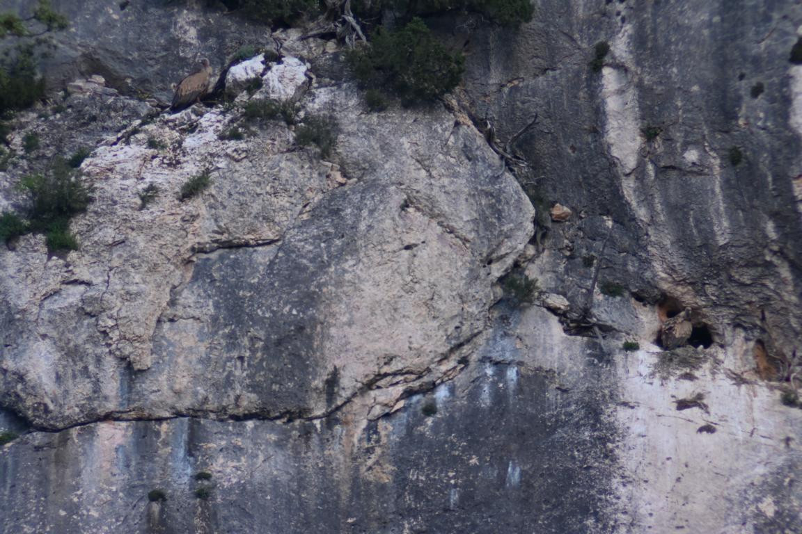 Klicke auf die Grafik für eine vergrößerte Ansicht

Name: DSC_1675.jpg
Ansichten: 136
Größe: 253,5 KB
ID: 3353623