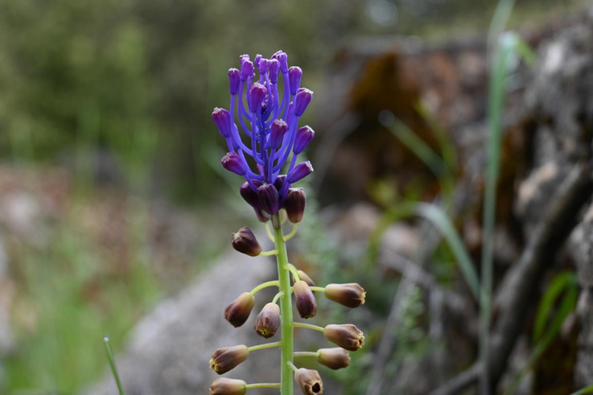 Klicke auf die Grafik für eine vergrößerte Ansicht

Name: DSC_1753.jpg
Ansichten: 137
Größe: 108,3 KB
ID: 3353624