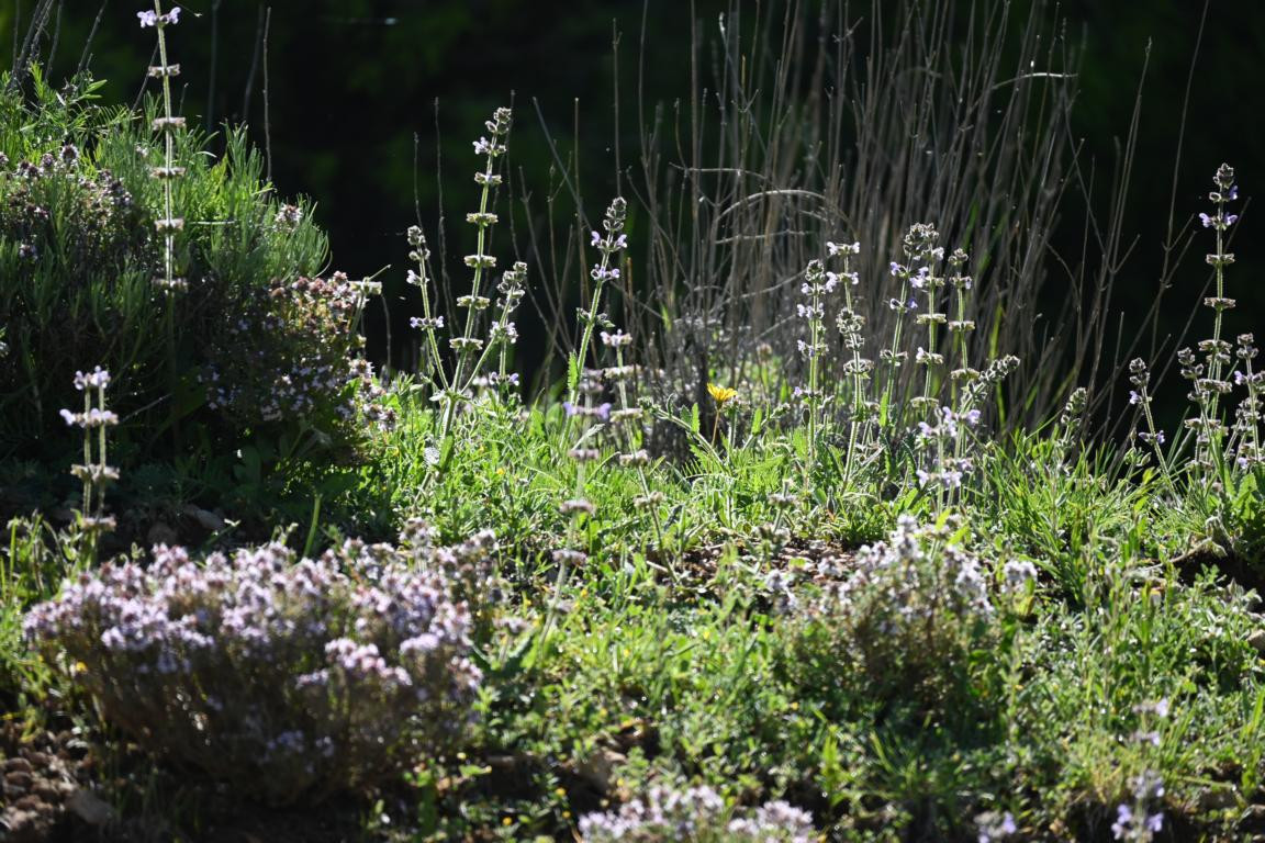 Klicke auf die Grafik für eine vergrößerte Ansicht

Name: DSC_1754.jpg
Ansichten: 136
Größe: 319,4 KB
ID: 3353625