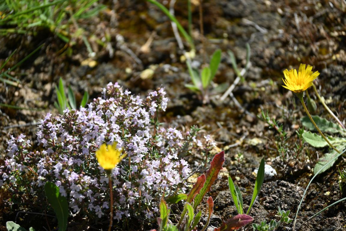 Klicke auf die Grafik für eine vergrößerte Ansicht

Name: DSC_1760.jpg
Ansichten: 136
Größe: 301,8 KB
ID: 3353626