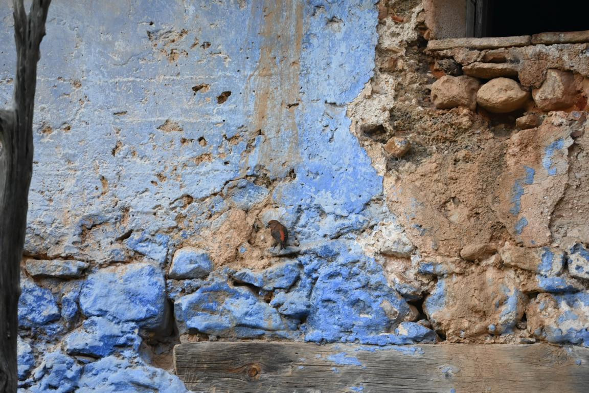 Klicke auf die Grafik für eine vergrößerte Ansicht

Name: DSC_1939.jpg
Ansichten: 136
Größe: 321,3 KB
ID: 3353628