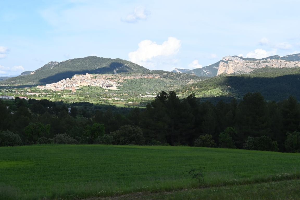 Klicke auf die Grafik für eine vergrößerte Ansicht

Name: DSC_1953.jpg
Ansichten: 136
Größe: 144,0 KB
ID: 3353630