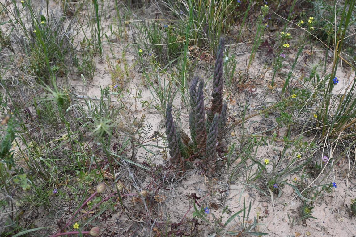 Klicke auf die Grafik für eine vergrößerte Ansicht

Name: DSC_1971.jpg
Ansichten: 137
Größe: 384,7 KB
ID: 3353632