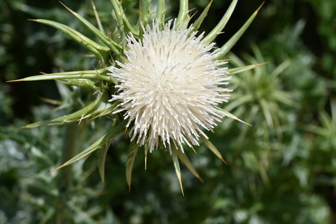 Klicke auf die Grafik für eine vergrößerte Ansicht

Name: DSC_1976.jpg
Ansichten: 135
Größe: 160,5 KB
ID: 3353634