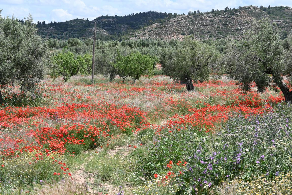 Klicke auf die Grafik für eine vergrößerte Ansicht

Name: DSC_1977.jpg
Ansichten: 137
Größe: 445,5 KB
ID: 3353635