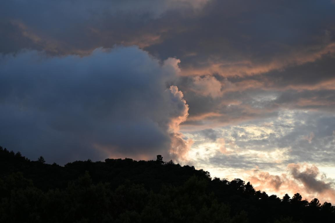 Klicke auf die Grafik für eine vergrößerte Ansicht

Name: DSC_2052.jpg
Ansichten: 134
Größe: 83,2 KB
ID: 3353638