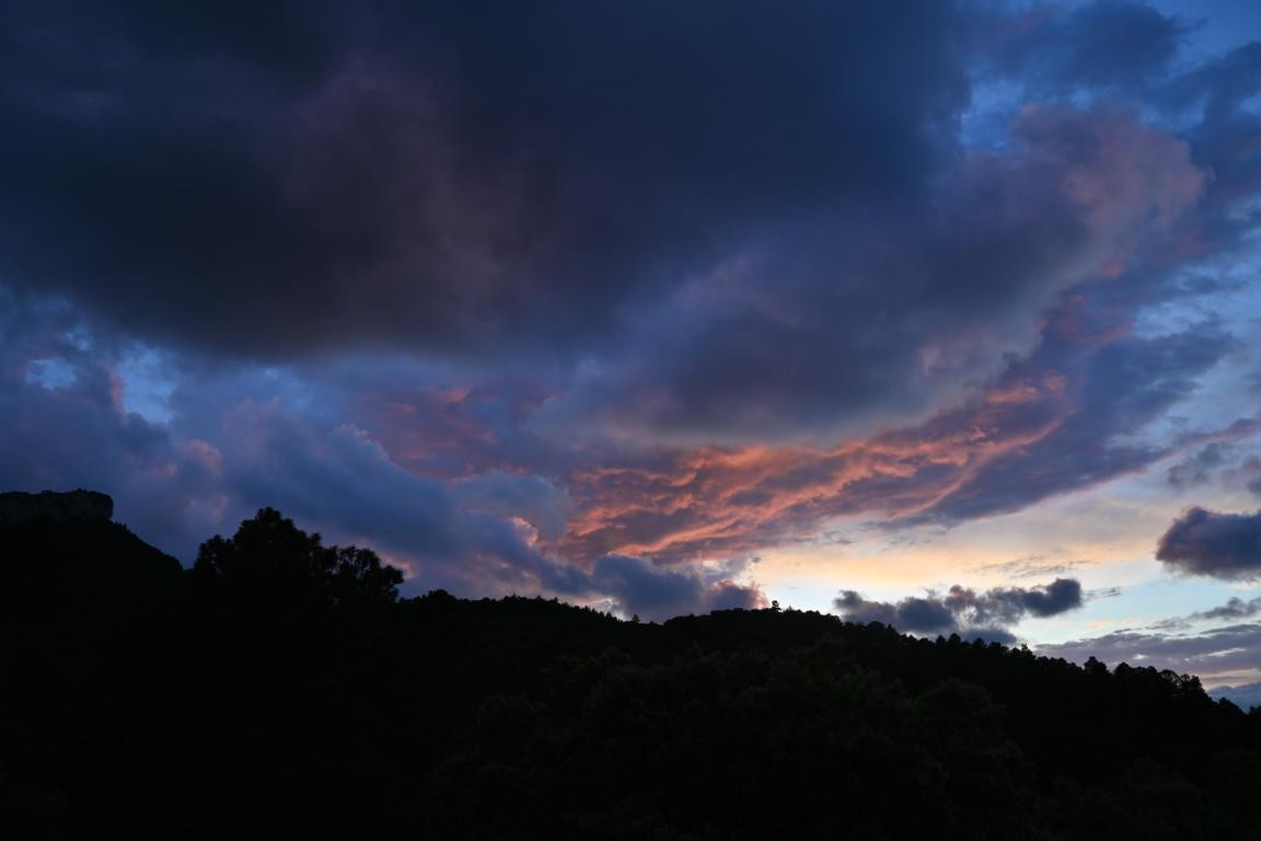 Klicke auf die Grafik für eine vergrößerte Ansicht

Name: DSC_2068.jpg
Ansichten: 134
Größe: 75,6 KB
ID: 3353639