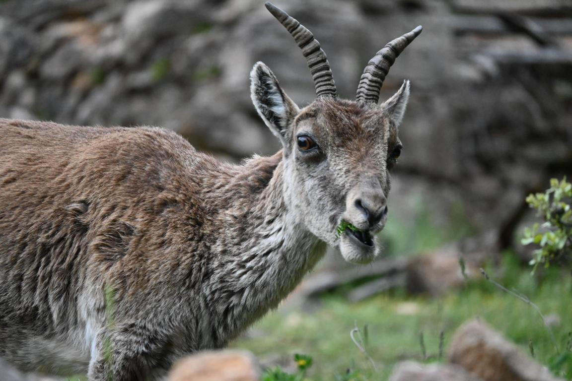 Klicke auf die Grafik für eine vergrößerte Ansicht

Name: DSC_2093.jpg
Ansichten: 135
Größe: 194,8 KB
ID: 3353640