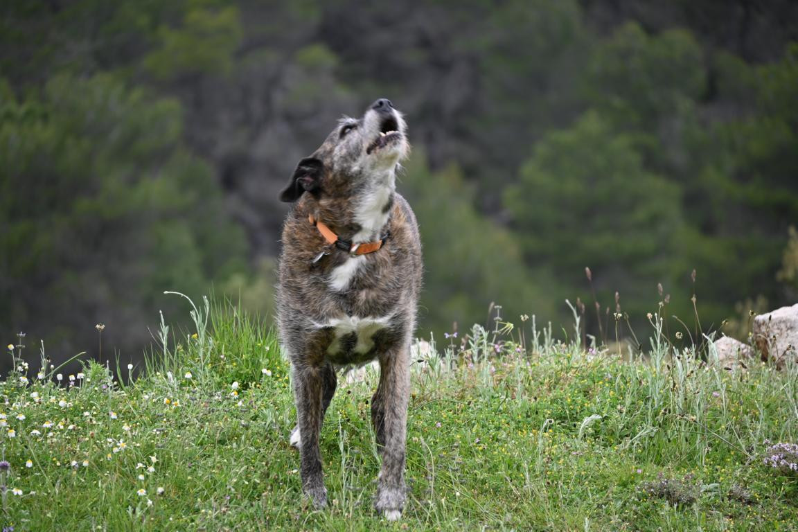 Klicke auf die Grafik für eine vergrößerte Ansicht

Name: DSC_2107.jpg
Ansichten: 135
Größe: 226,4 KB
ID: 3353641