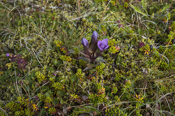 Klicke auf die Grafik für eine vergrößerte Ansicht

Name: Iceland-2025_3834.jpg
Ansichten: 71
Größe: 1,11 MB
ID: 3353682