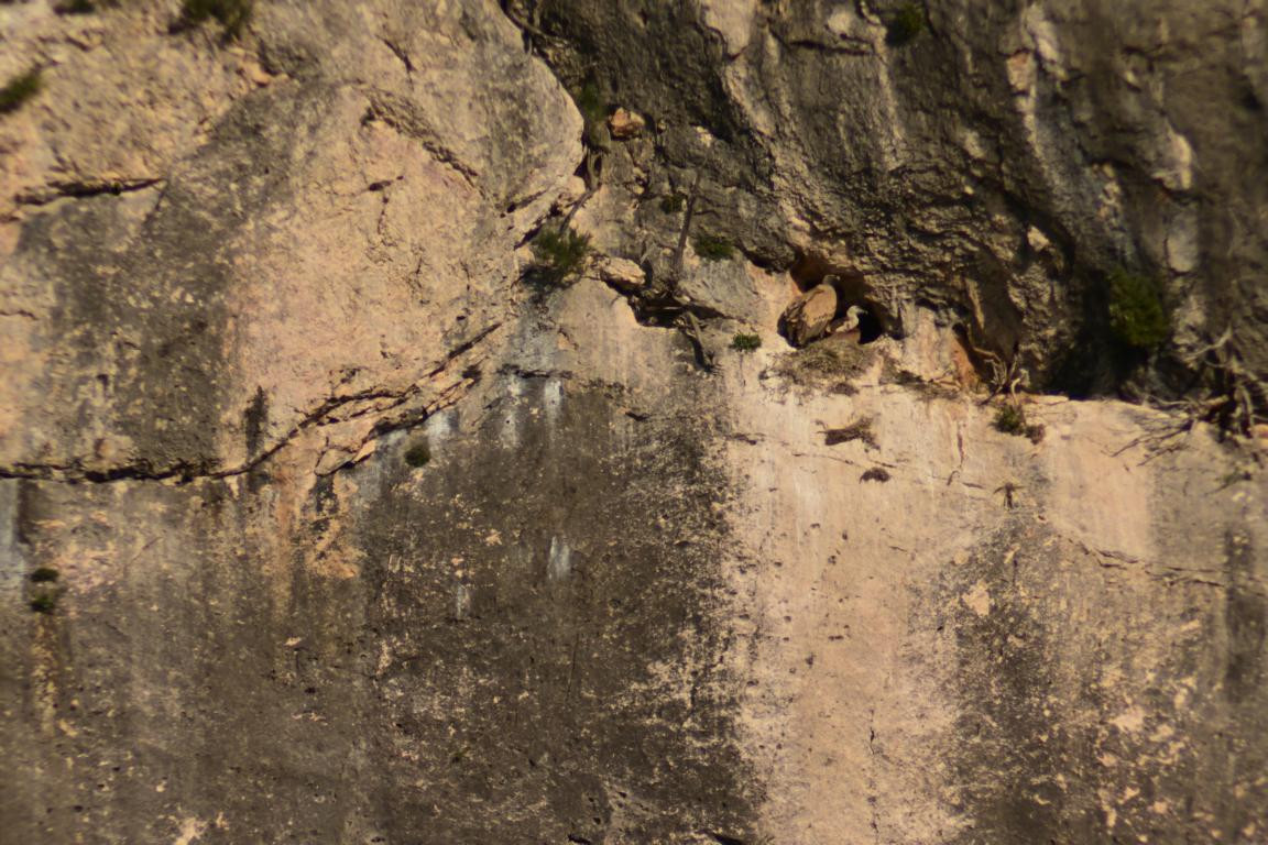 Klicke auf die Grafik für eine vergrößerte Ansicht

Name: DSC_2127.jpg
Ansichten: 88
Größe: 273,0 KB
ID: 3353767