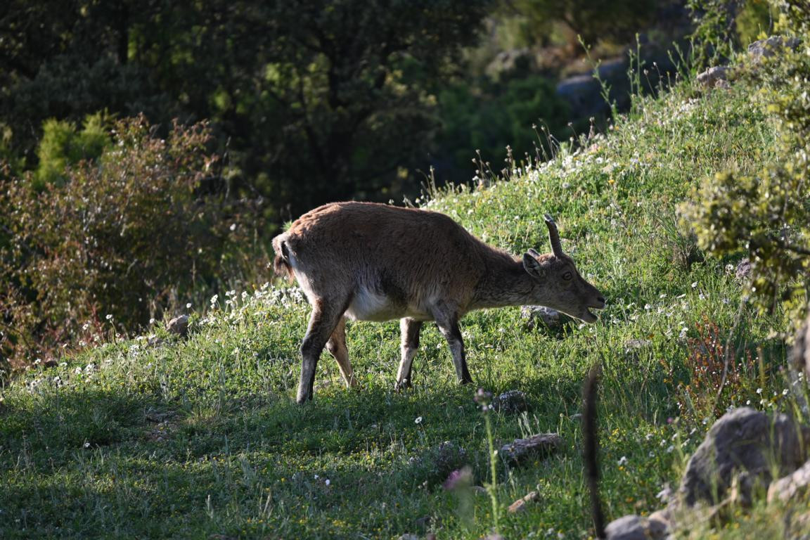 Klicke auf die Grafik für eine vergrößerte Ansicht

Name: DSC_2164.jpg
Ansichten: 82
Größe: 316,9 KB
ID: 3353768