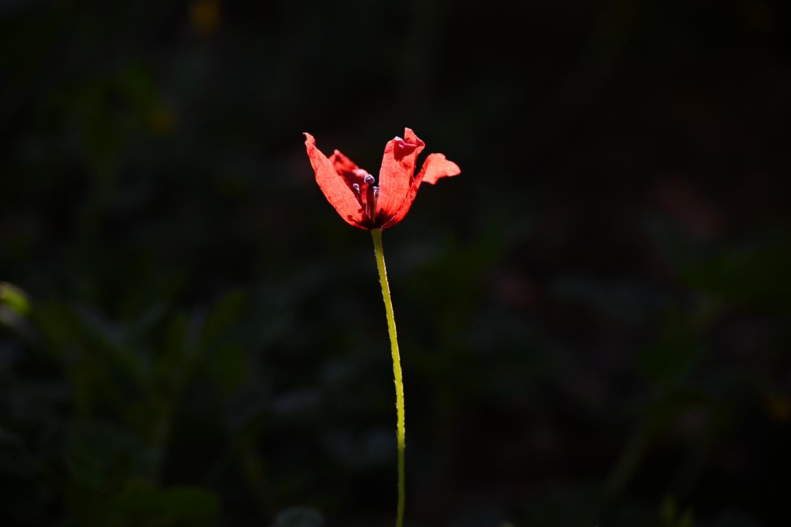 Klicke auf die Grafik für eine vergrößerte Ansicht

Name: DSC_2198.jpg
Ansichten: 82
Größe: 49,5 KB
ID: 3353769