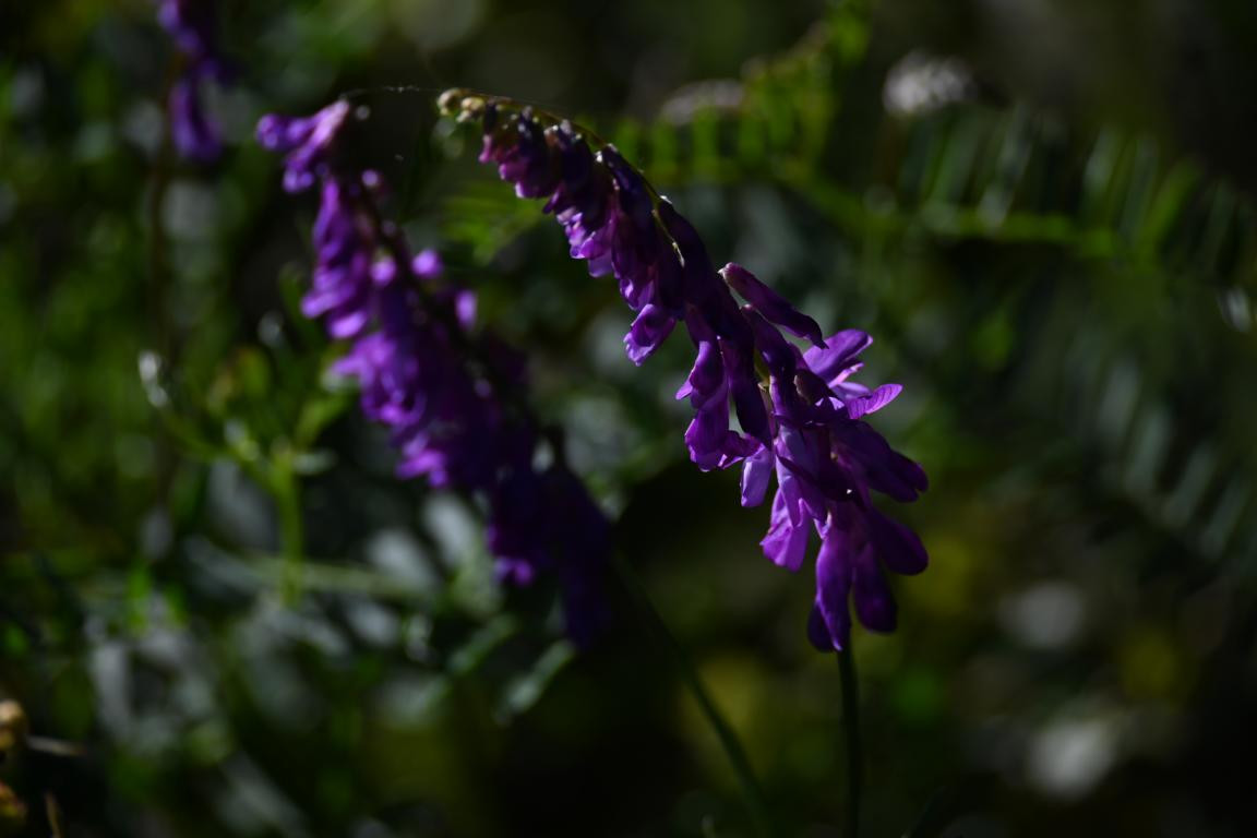 Klicke auf die Grafik für eine vergrößerte Ansicht

Name: DSC_2199.jpg
Ansichten: 83
Größe: 99,0 KB
ID: 3353770