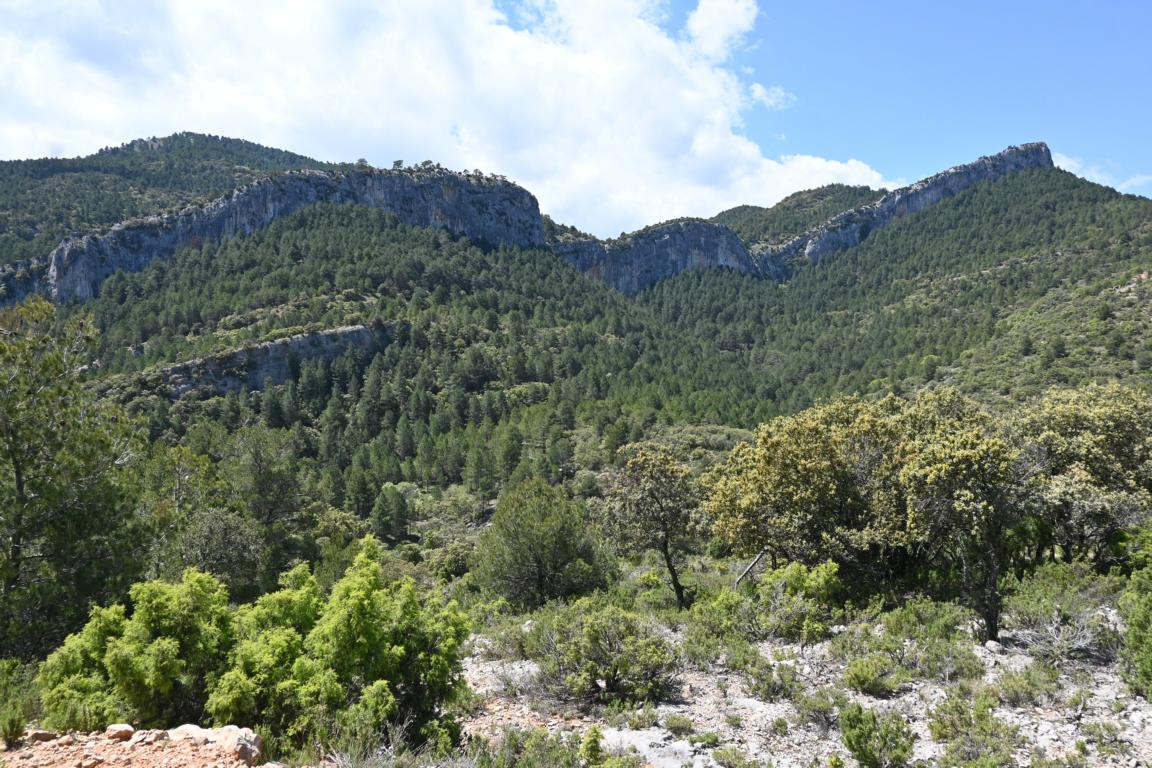 Klicke auf die Grafik für eine vergrößerte Ansicht

Name: DSC_2214.jpg
Ansichten: 82
Größe: 319,1 KB
ID: 3353774