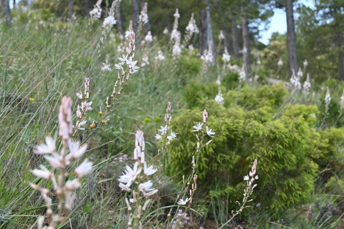 Klicke auf die Grafik für eine vergrößerte Ansicht

Name: DSC_2220.jpg
Ansichten: 82
Größe: 250,3 KB
ID: 3353775