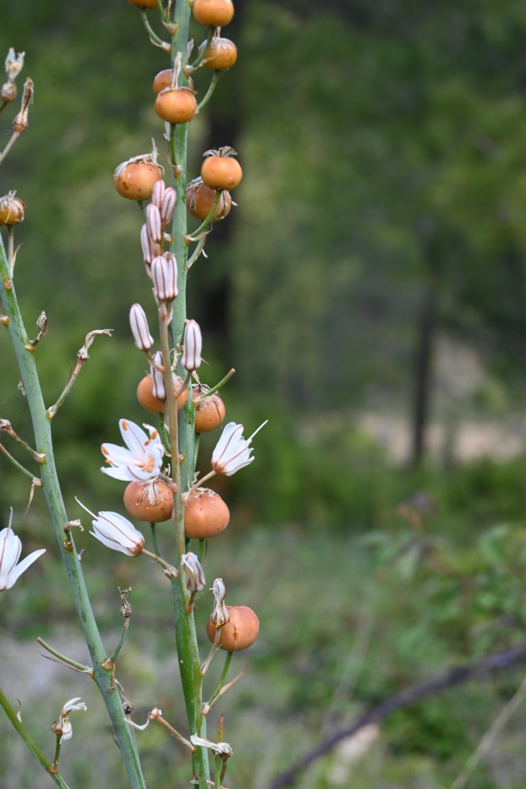 Klicke auf die Grafik für eine vergrößerte Ansicht

Name: DSC_2224.jpg
Ansichten: 82
Größe: 132,2 KB
ID: 3353776