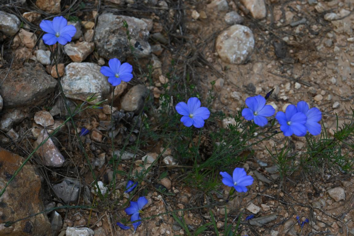 Klicke auf die Grafik für eine vergrößerte Ansicht

Name: DSC_2226.jpg
Ansichten: 82
Größe: 245,5 KB
ID: 3353777