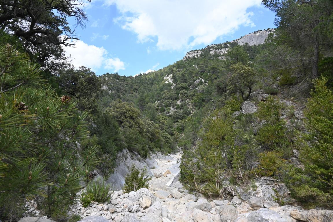 Klicke auf die Grafik für eine vergrößerte Ansicht

Name: DSC_2256.jpg
Ansichten: 82
Größe: 305,3 KB
ID: 3353782