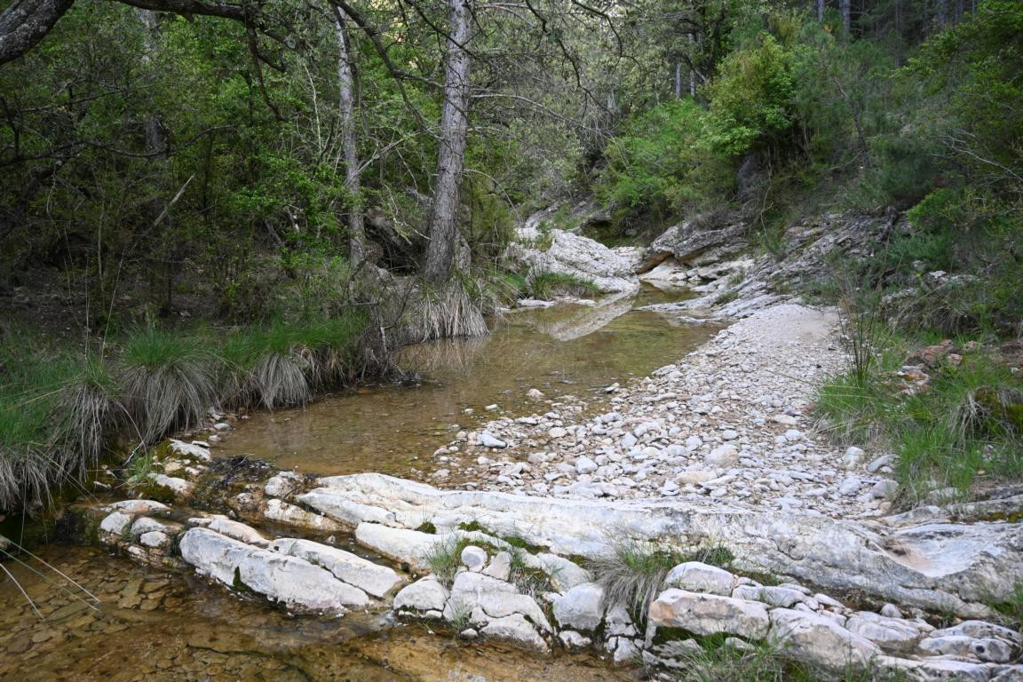 Klicke auf die Grafik für eine vergrößerte Ansicht

Name: DSC_2300.jpg
Ansichten: 82
Größe: 350,3 KB
ID: 3353783