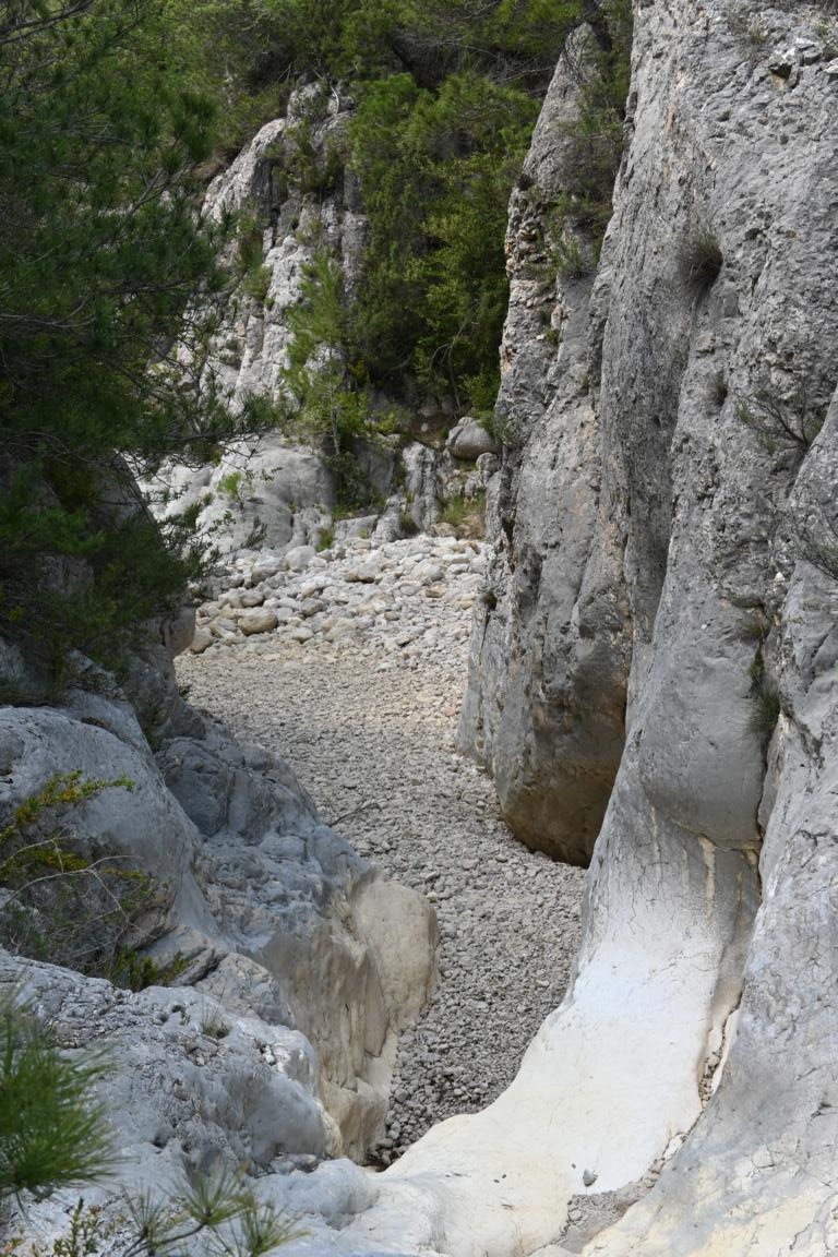 Klicke auf die Grafik für eine vergrößerte Ansicht

Name: DSC_2268.jpg
Ansichten: 82
Größe: 303,2 KB
ID: 3353784