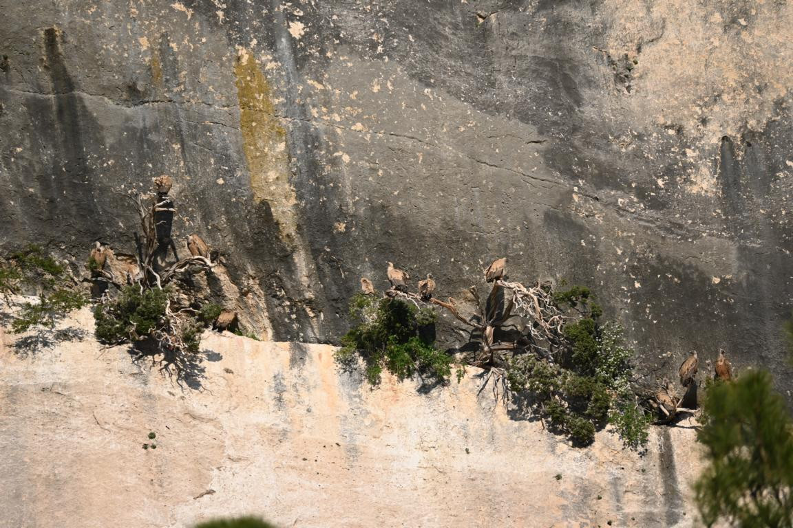 Klicke auf die Grafik für eine vergrößerte Ansicht

Name: DSC_2314.jpg
Ansichten: 83
Größe: 310,5 KB
ID: 3353787