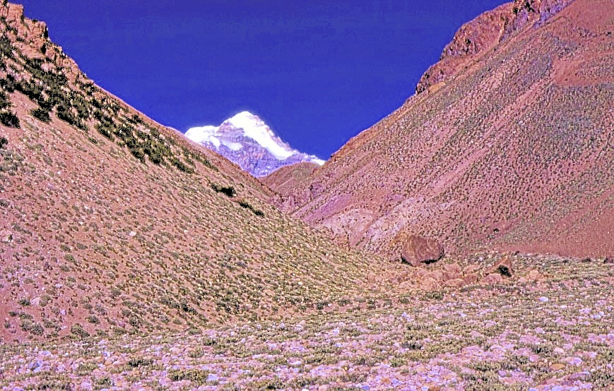 Klicke auf die Grafik für eine vergrößerte Ansicht

Name: aconcagua_high_q_26_ji1RR.jpg
Ansichten: 183
Größe: 261,6 KB
ID: 3353794