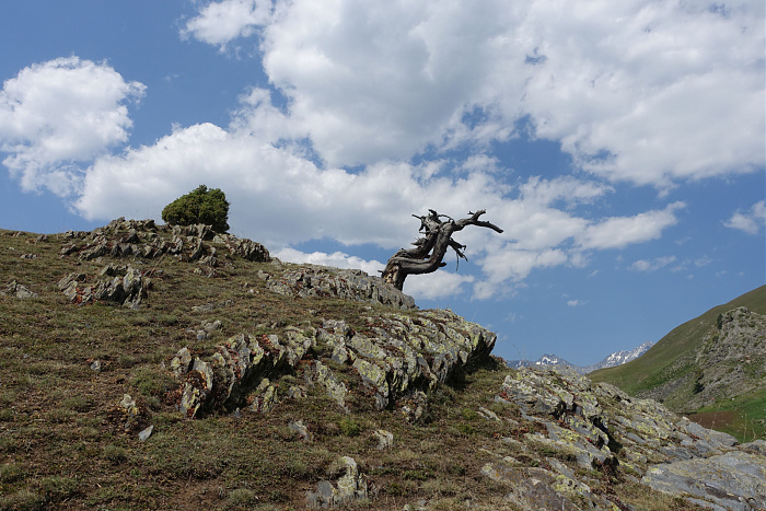 Klicke auf die Grafik für eine vergrößerte Ansicht  Name: DSC00120.jpg Ansichten: 0 Größe: 787,7 KB ID: 3353856