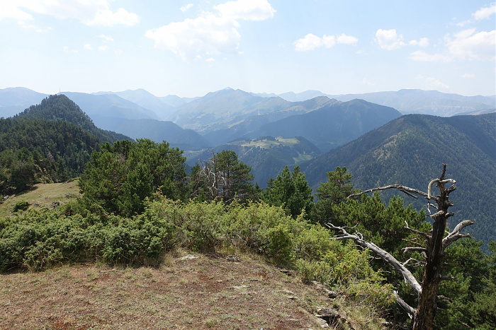 Klicke auf die Grafik für eine vergrößerte Ansicht  Name: DSC00109.jpg Ansichten: 0 Größe: 856,0 KB ID: 3353857