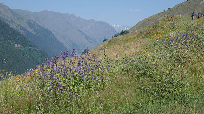 Klicke auf die Grafik für eine vergrößerte Ansicht  Name: Kaukasus0907.jpg Ansichten: 0 Größe: 883,5 KB ID: 3353859