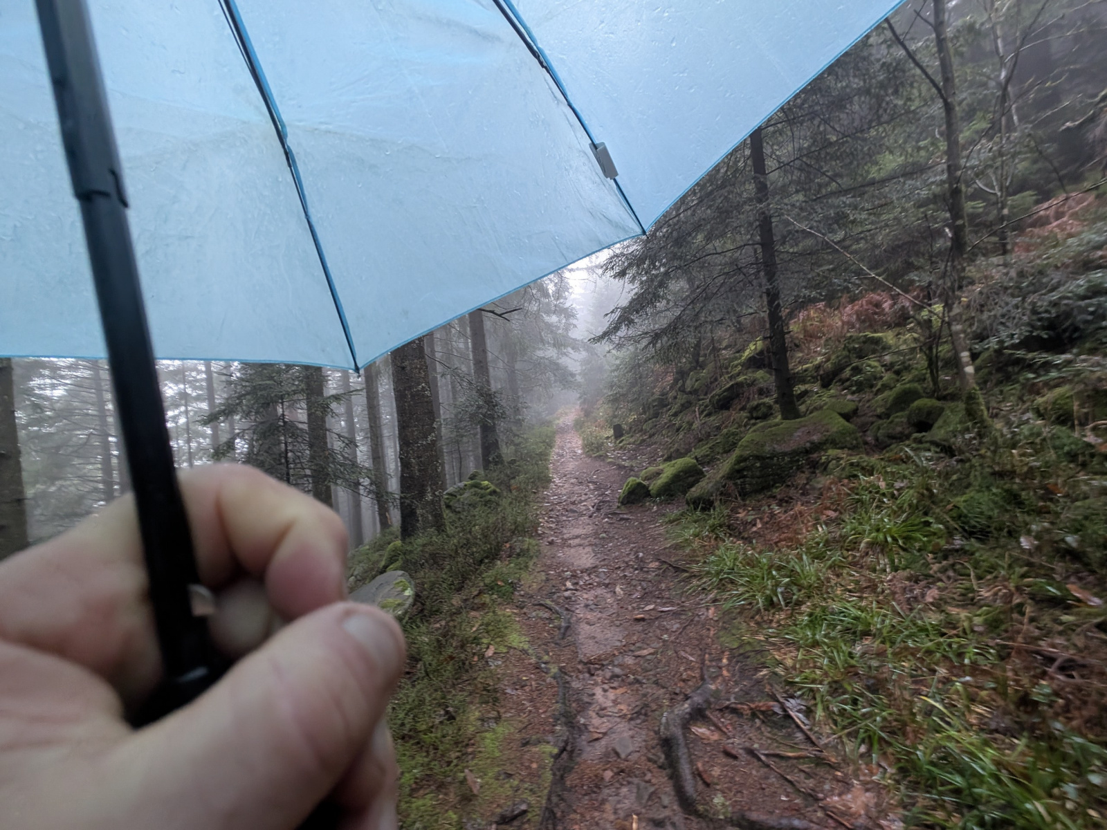 Klicke auf die Grafik für eine vergrößerte Ansicht  Name: PXL_20251125_081231690.jpg Ansichten: 0 Größe: 723,1 KB ID: 3354004