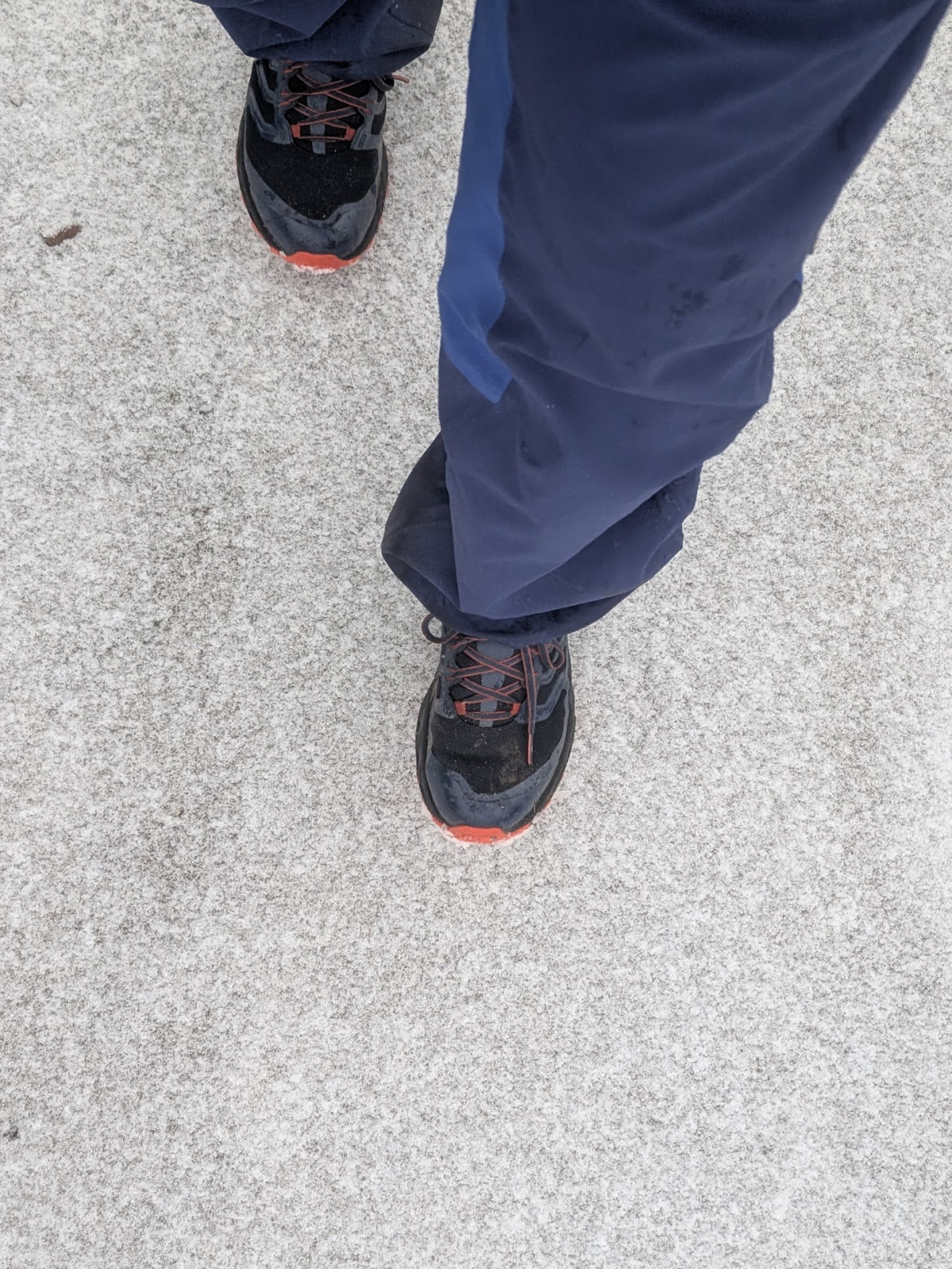 Klicke auf die Grafik für eine vergrößerte Ansicht  Name: PXL_20251125_082647838.jpg Ansichten: 0 Größe: 952,2 KB ID: 3354005