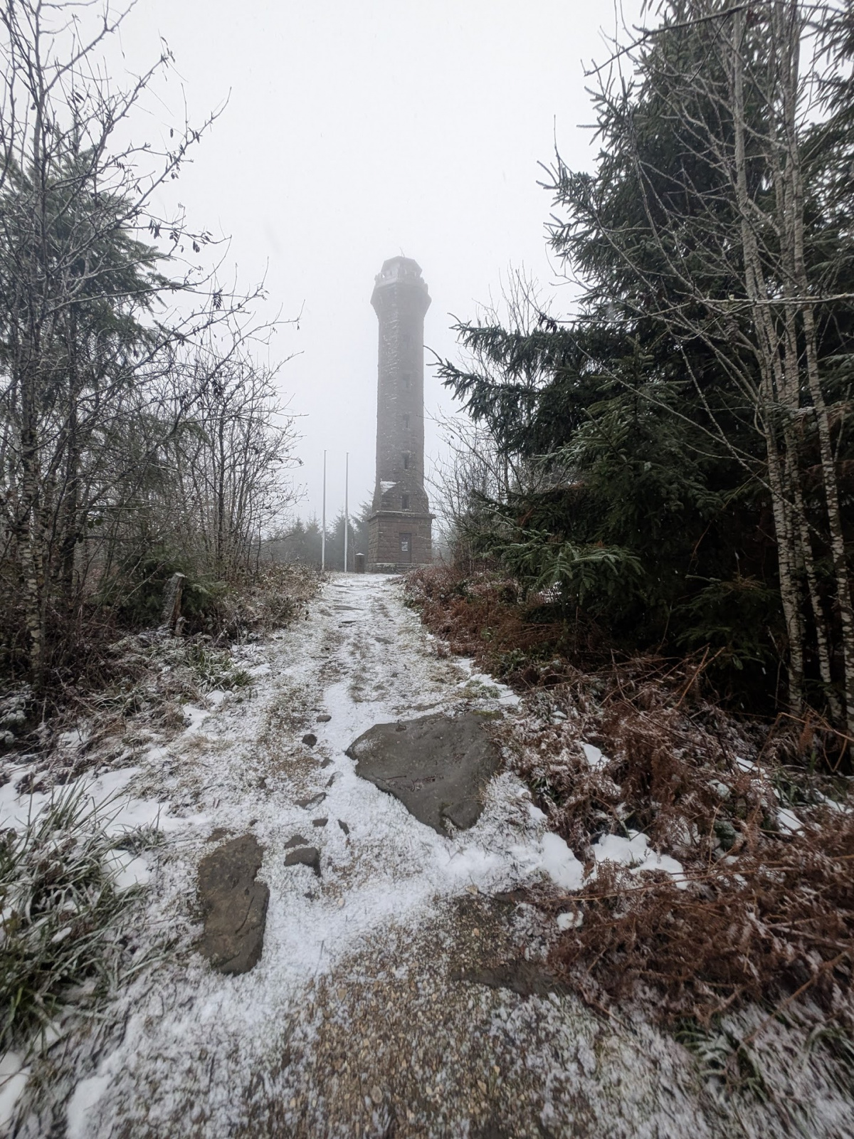 Klicke auf die Grafik für eine vergrößerte Ansicht  Name: PXL_20251125_083348963.jpg Ansichten: 0 Größe: 991,0 KB ID: 3354006