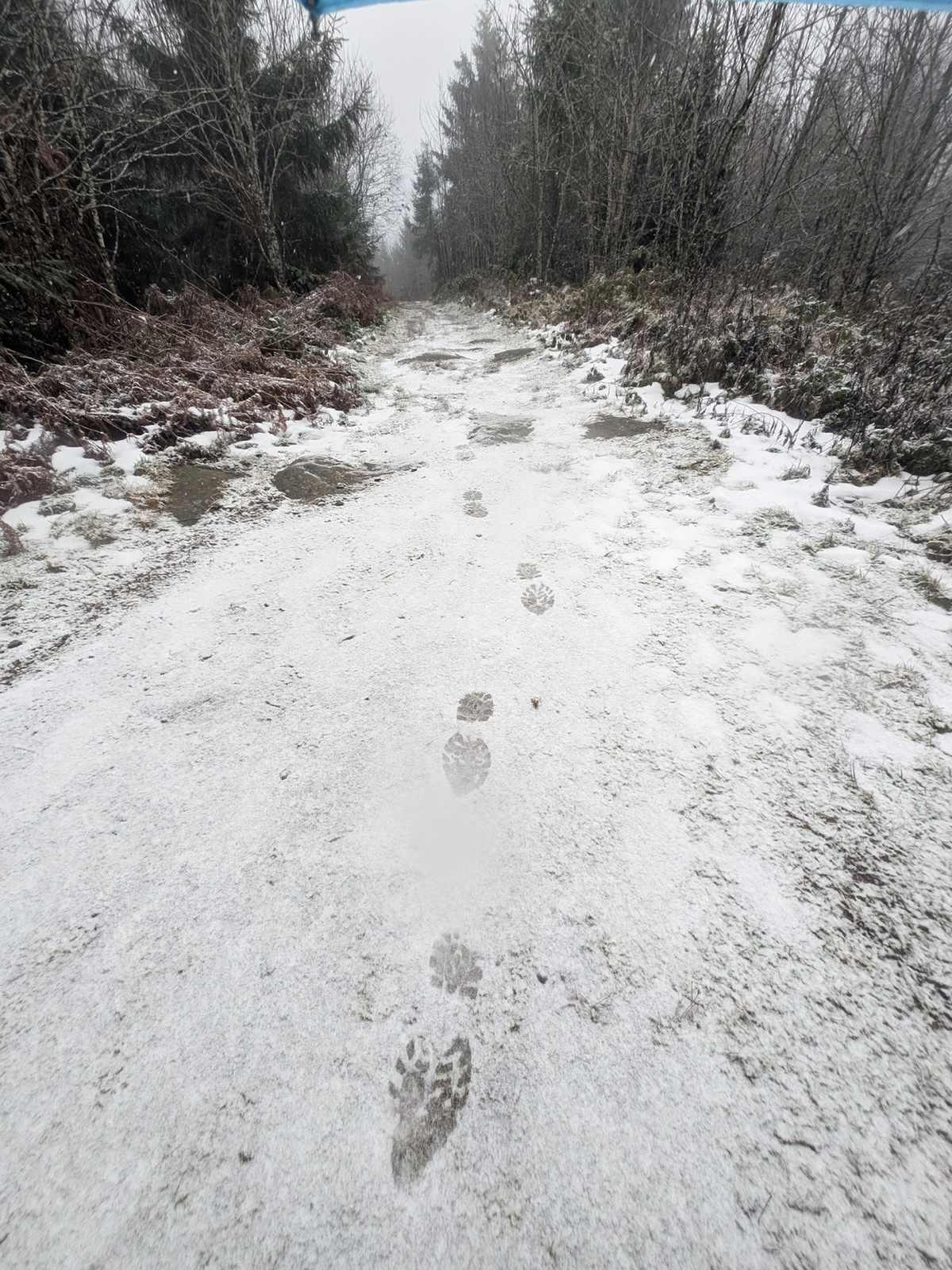 Klicke auf die Grafik für eine vergrößerte Ansicht  Name: PXL_20251125_083936994.jpg Ansichten: 0 Größe: 974,7 KB ID: 3354007