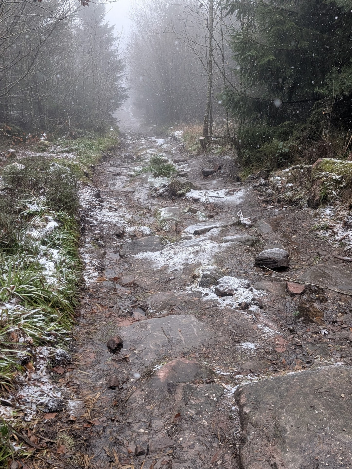 Klicke auf die Grafik für eine vergrößerte Ansicht  Name: PXL_20251125_084100520.PORTRAIT.ORIGINAL.jpg Ansichten: 0 Größe: 1,18 MB ID: 3354010