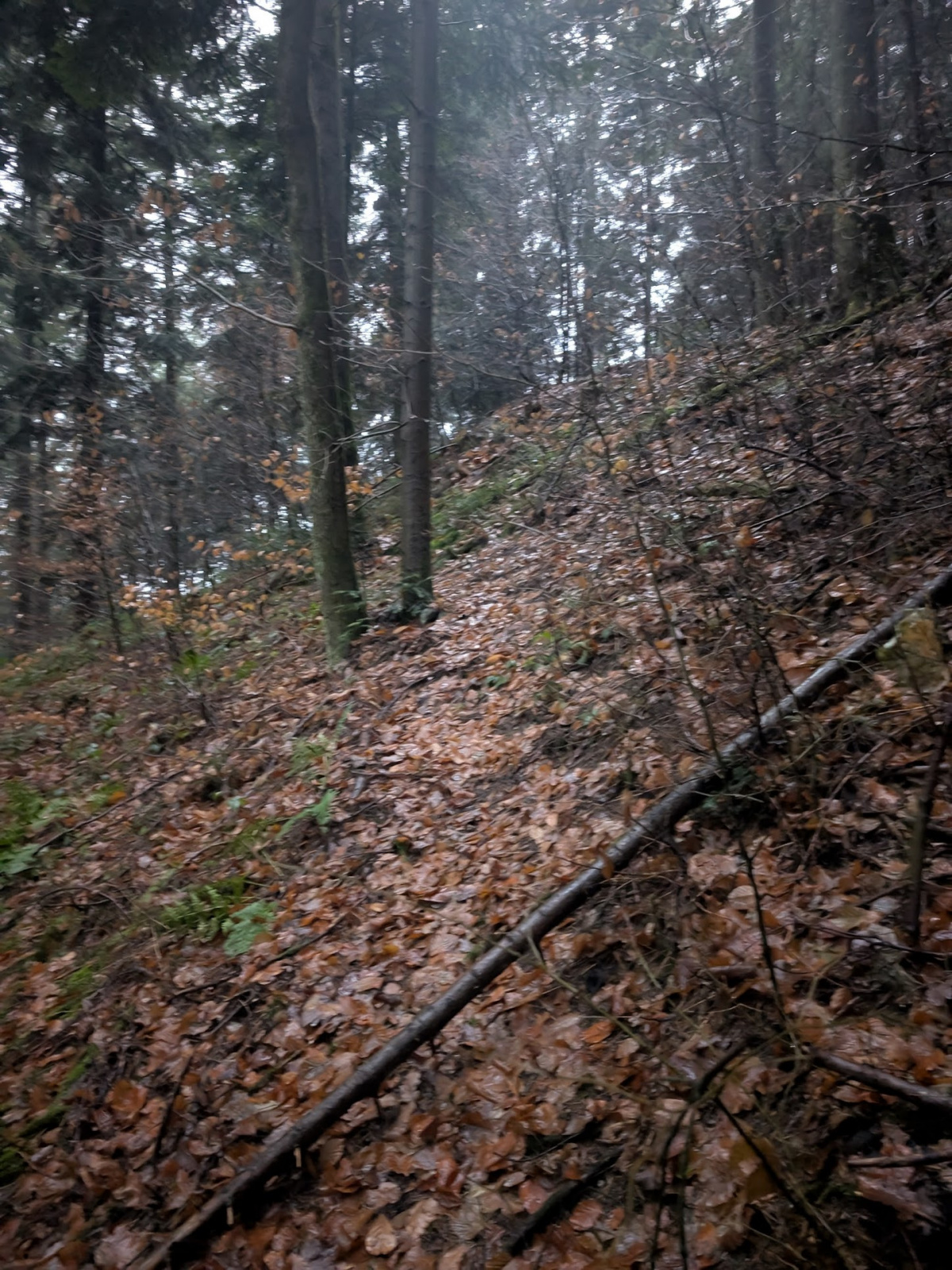 Klicke auf die Grafik für eine vergrößerte Ansicht  Name: PXL_20251125_153835919.NIGHT.jpg Ansichten: 0 Größe: 888,0 KB ID: 3354011