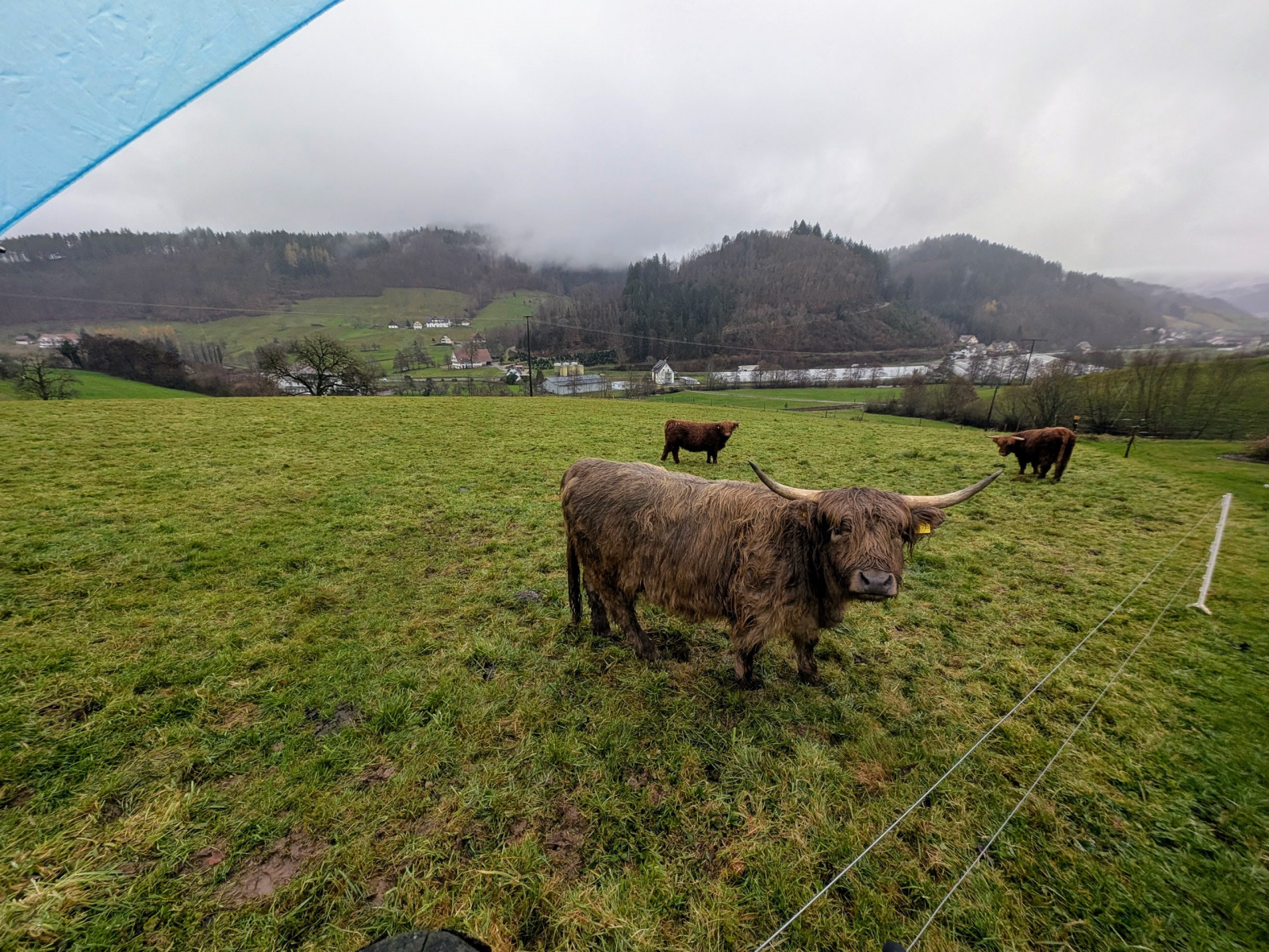 Klicke auf die Grafik für eine vergrößerte Ansicht  Name: PXL_20251125_123738647.jpg Ansichten: 0 Größe: 1,01 MB ID: 3354012