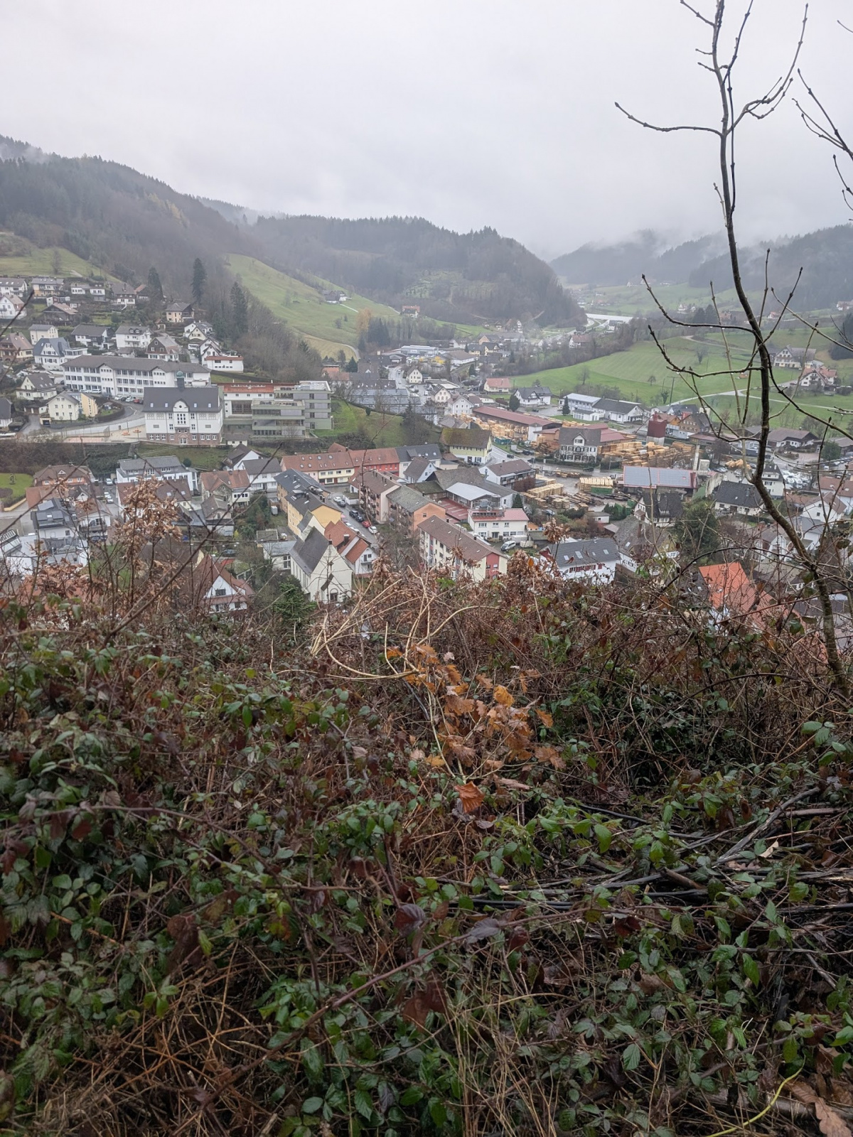 Klicke auf die Grafik für eine vergrößerte Ansicht  Name: PXL_20251125_133148468.jpg Ansichten: 0 Größe: 983,8 KB ID: 3354013