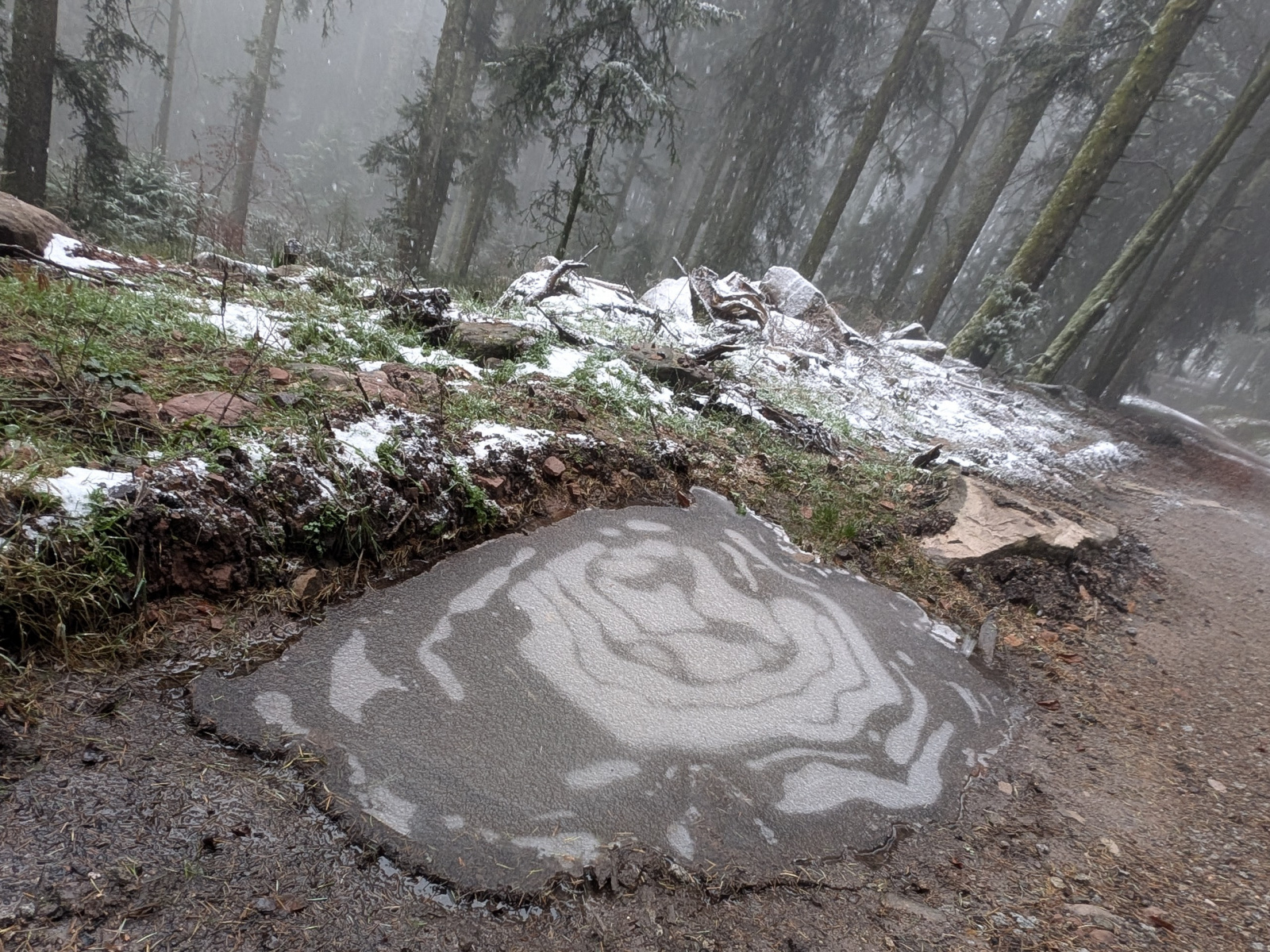 Klicke auf die Grafik für eine vergrößerte Ansicht  Name: PXL_20251125_090834088.jpg Ansichten: 0 Größe: 1,06 MB ID: 3354015