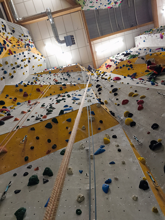 Klicke auf die Grafik für eine vergrößerte Ansicht

Name: IMG_20251128_180618217.jpg
Ansichten: 86
Größe: 829,0 KB
ID: 3354027