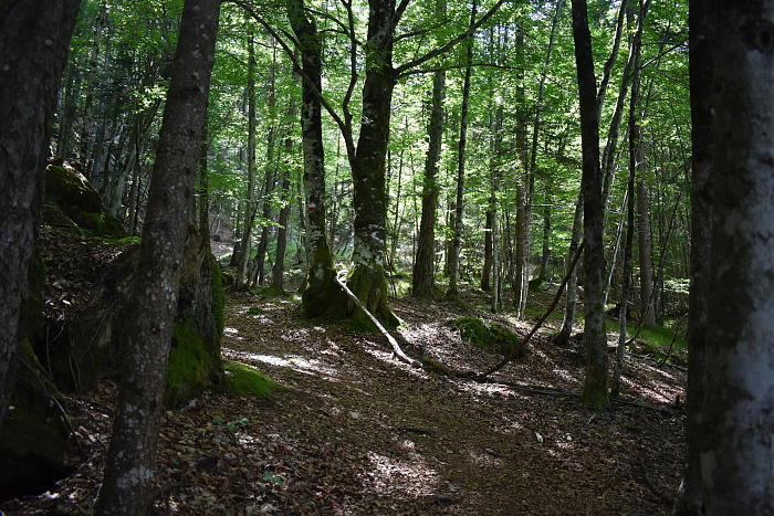 Klicke auf die Grafik für eine vergrößerte Ansicht  Name: DSC_0027.jpg Ansichten: 0 Größe: 1,04 MB ID: 3354078