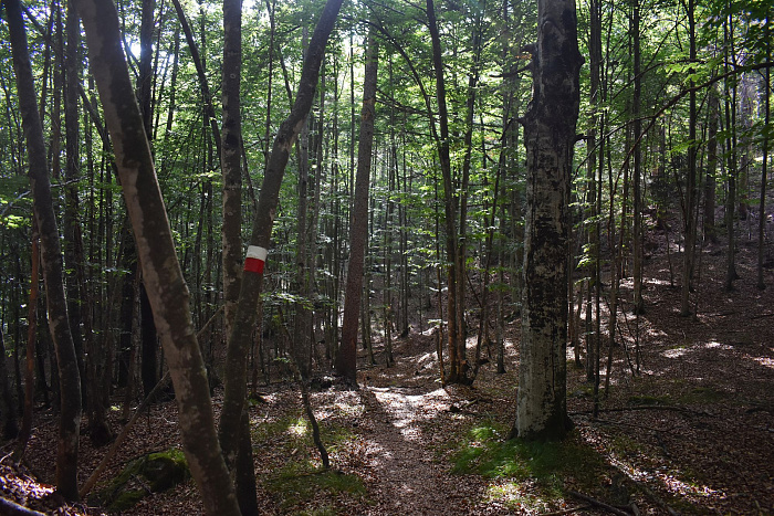 Klicke auf die Grafik für eine vergrößerte Ansicht  Name: DSC_0061.jpg Ansichten: 0 Größe: 1,12 MB ID: 3354085