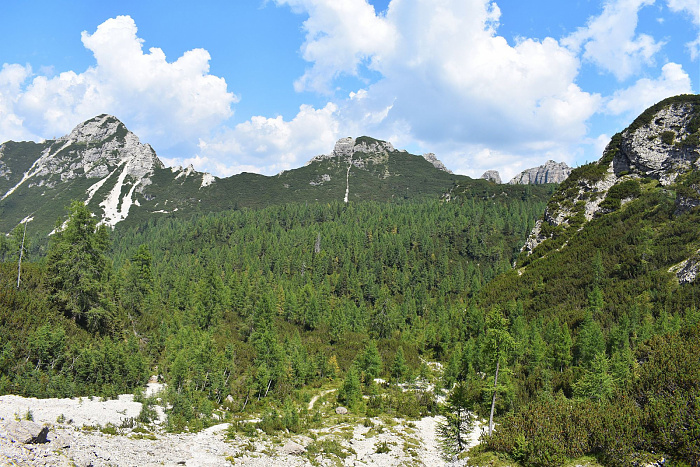 Klicke auf die Grafik für eine vergrößerte Ansicht  Name: DSC_0050.jpg Ansichten: 0 Größe: 1,05 MB ID: 3354086