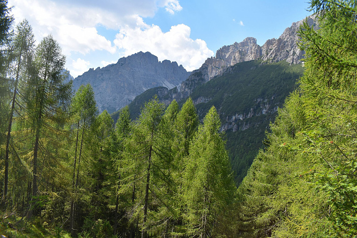 Klicke auf die Grafik für eine vergrößerte Ansicht  Name: DSC_0052.jpg Ansichten: 0 Größe: 1,12 MB ID: 3354087