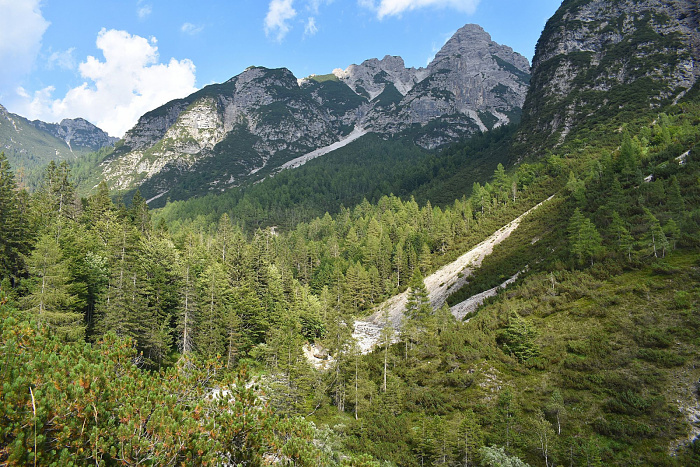 Klicke auf die Grafik für eine vergrößerte Ansicht  Name: DSC_0062.jpg Ansichten: 0 Größe: 1,12 MB ID: 3354092