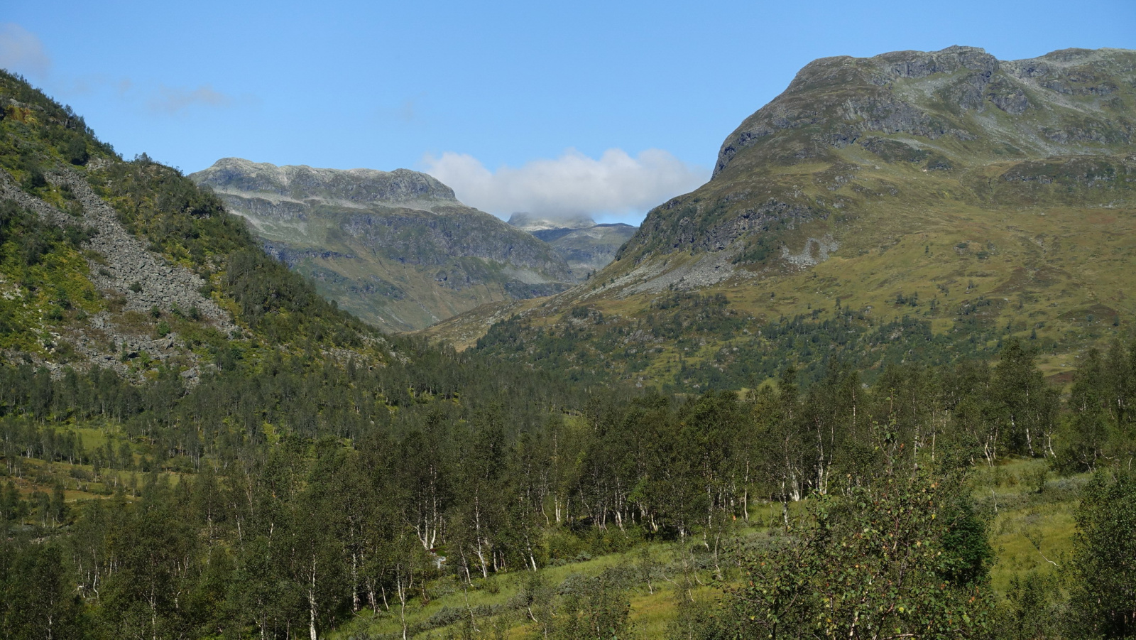 Klicke auf die Grafik für eine vergrößerte Ansicht  Name: 2025 Norge 0625.jpg Ansichten: 0 Größe: 777,2 KB ID: 3354164