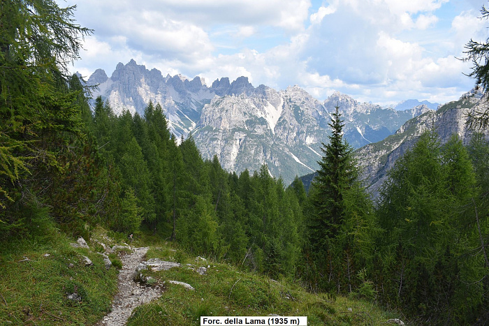 Klicke auf die Grafik für eine vergrößerte Ansicht

Name: DSC_0089.jpg
Ansichten: 90
Größe: 964,0 KB
ID: 3354185