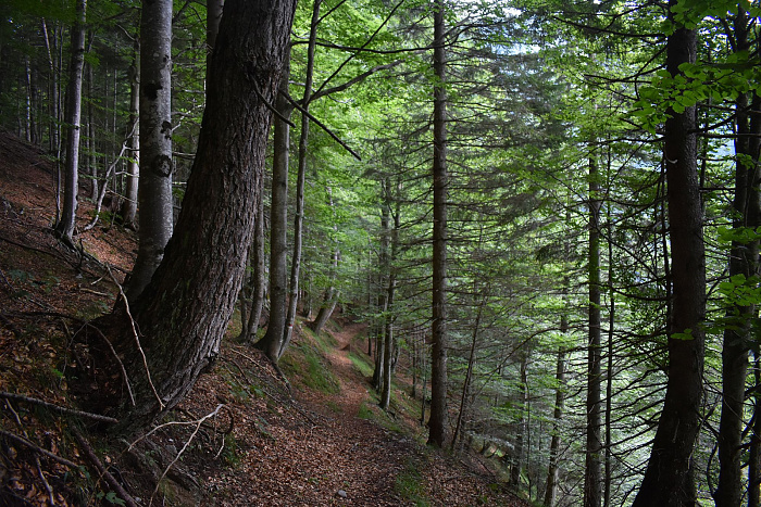 Klicke auf die Grafik für eine vergrößerte Ansicht

Name: DSC_0118.jpg
Ansichten: 90
Größe: 1,10 MB
ID: 3354191