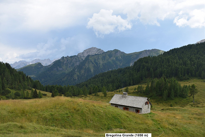 Klicke auf die Grafik für eine vergrößerte Ansicht

Name: DSC_0115.jpg
Ansichten: 90
Größe: 635,0 KB
ID: 3354192